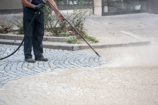 Best House Exterior Washing  in Penbrook, PA